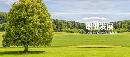 職業(yè)發(fā)展