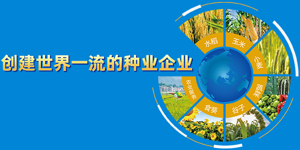 產(chǎn)業(yè)體系